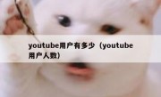 youtube用户有多少（youtube用户人数）