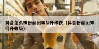 抖音怎么样粉丝团等级升级快（抖音粉丝团如何升等级）