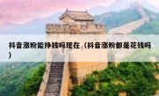 抖音涨粉能挣钱吗现在（抖音涨粉都是花钱吗）