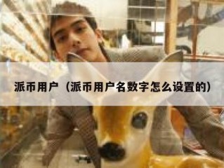 派币用户（派币用户名数字怎么设置的）