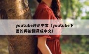 youtube评论中文（youtube下面的评论翻译成中文）