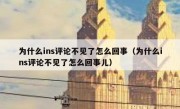 为什么ins评论不见了怎么回事（为什么ins评论不见了怎么回事儿）