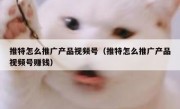 推特怎么推广产品视频号（推特怎么推广产品视频号赚钱）