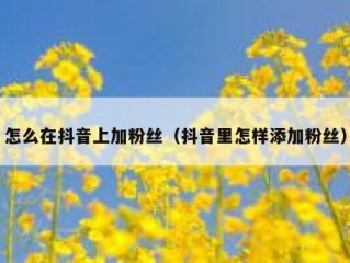 怎么在抖音上加粉丝（抖音里怎样添加粉丝）