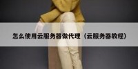 怎么使用云服务器做代理（云服务器教程）