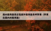 国内服务器贵还是国外服务器贵啊苹果（苹果在国内的服务器）