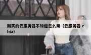 刚买的云服务器不知道怎么用（云服务器 chia）