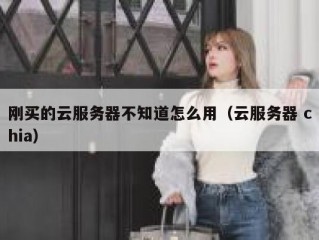 刚买的云服务器不知道怎么用（云服务器 chia）