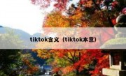 tiktok含义（tiktok本意）