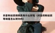 抖音粉丝团级别高有什么好处（抖音的粉丝团等级是怎么划分的）