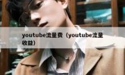 youtube流量费（youtube流量收益）