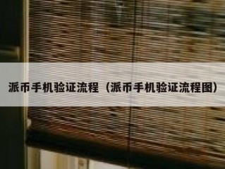 派币手机验证流程（派币手机验证流程图）