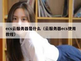 ecs云服务器是什么（云服务器ecs使用教程）