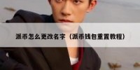 派币怎么更改名字（派币钱包重置教程）