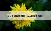ins上可以购物吗（ins能买东西吗）
