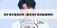 挖矿派币是真的吗（派币挖矿真的能赚钱吗）
