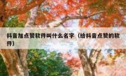 抖音加点赞软件叫什么名字（给抖音点赞的软件）