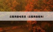 云服务器啥意思（云服务器服务）