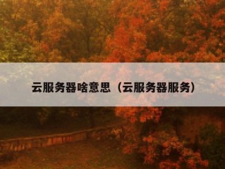 云服务器啥意思（云服务器服务）