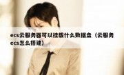 ecs云服务器可以挂载什么数据盘（云服务ecs怎么搭建）