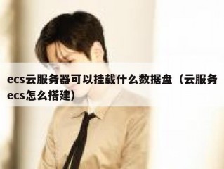 ecs云服务器可以挂载什么数据盘（云服务ecs怎么搭建）