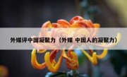 外媒评中国凝聚力（外媒 中国人的凝聚力）