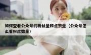 如何查看公众号的粉丝量和点赞量（公众号怎么看粉丝数量）