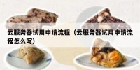 云服务器试用申请流程（云服务器试用申请流程怎么写）