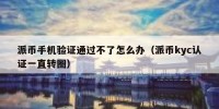 派币手机验证通过不了怎么办（派币kyc认证一直转圈）
