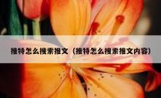 推特怎么搜索推文（推特怎么搜索推文内容）