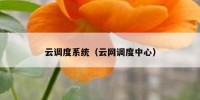 云调度系统（云网调度中心）