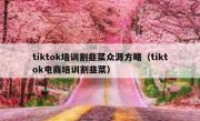 tiktok培训割韭菜众源方略（tiktok电商培训割韭菜）