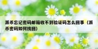 派币忘记密码邮箱收不到验证码怎么回事（派币密码如何找回）
