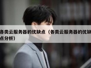 各类云服务器的优缺点（各类云服务器的优缺点分析）
