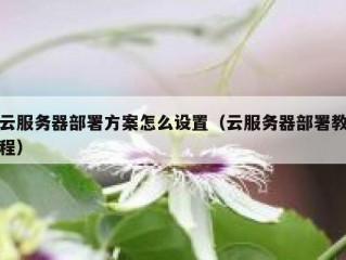 云服务器部署方案怎么设置（云服务器部署教程）