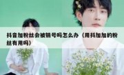 抖音加粉丝会被销号吗怎么办（用抖加加的粉丝有用吗）