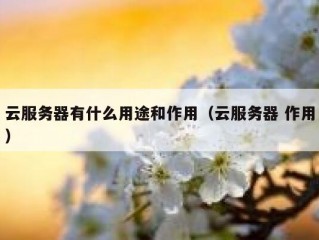 云服务器有什么用途和作用（云服务器 作用）