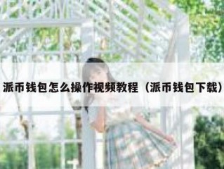 派币钱包怎么操作视频教程（派币钱包下载）