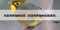 抖音如何加粉丝团（抖音如何加粉丝团成员）