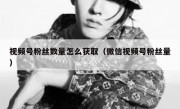 视频号粉丝数量怎么获取（微信视频号粉丝量）