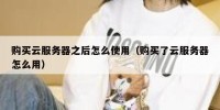 购买云服务器之后怎么使用（购买了云服务器怎么用）