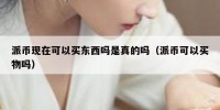 派币现在可以买东西吗是真的吗（派币可以买物吗）