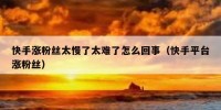 快手涨粉丝太慢了太难了怎么回事（快手平台涨粉丝）