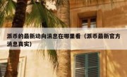派币的最新动向消息在哪里看（派币最新官方消息真实）