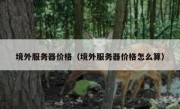 境外服务器价格（境外服务器价格怎么算）