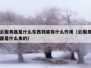 云服务器是什么东西到底有什么作用（云服务器是什么来的）