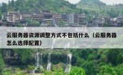 云服务器资源调整方式不包括什么（云服务器怎么选择配置）