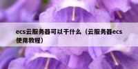 ecs云服务器可以干什么（云服务器ecs使用教程）