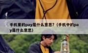 手机里的pay是什么意思?（手机中的pay是什么意思）