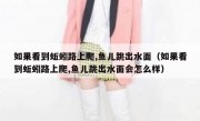 如果看到蚯蚓路上爬,鱼儿跳出水面（如果看到蚯蚓路上爬,鱼儿跳出水面会怎么样）